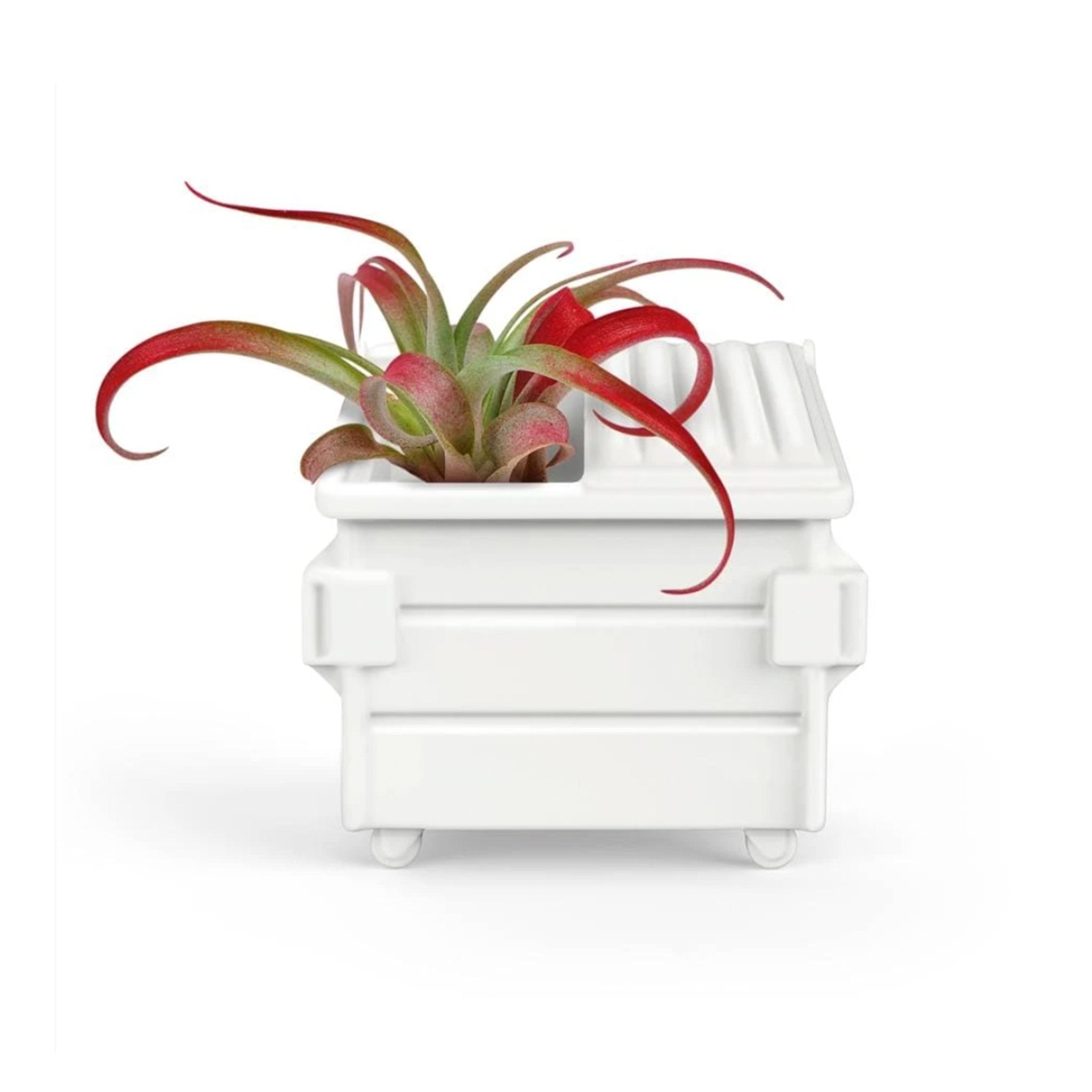 Fancy Plants Dumpster - [aka]