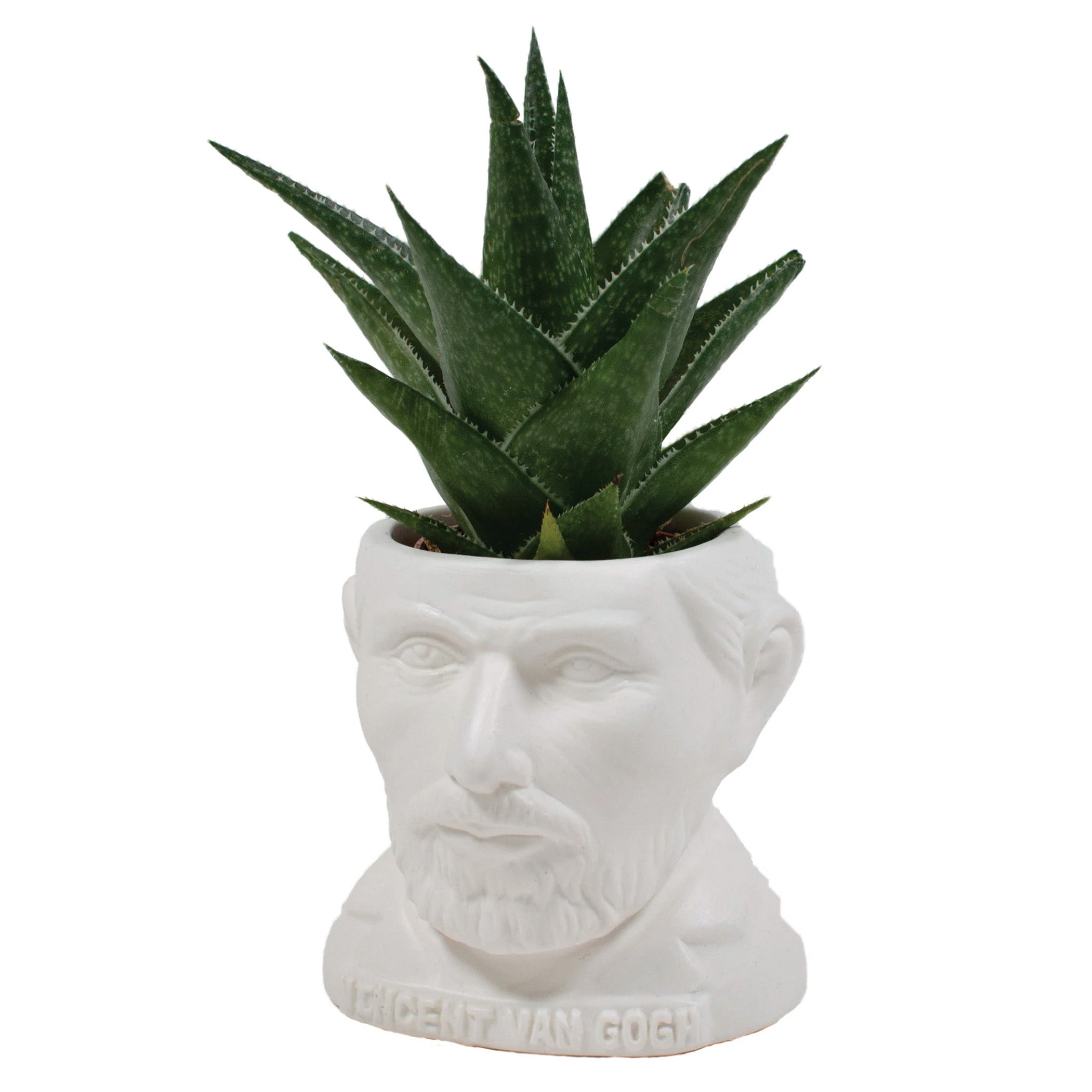 Vincent Van Gogh Planter - [aka]
